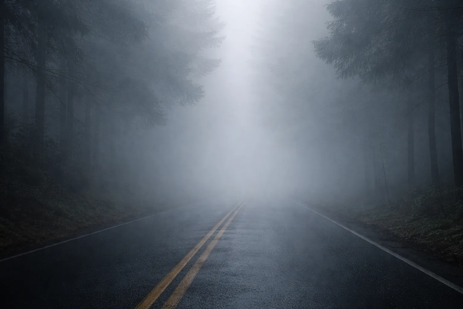 dense fog advisory